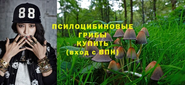 синтетический гашиш Кинешма