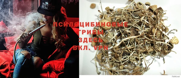 МДПВ Кодинск